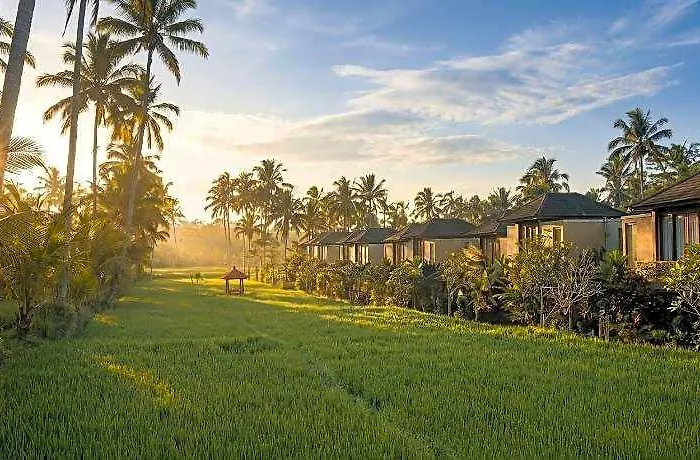 Khastana Hadi Tegallalang Ubud ホテル Seribatu